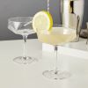 Seneca Faceted Crystal Coupes Viski®