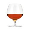 Raye Crystal Wingback Brandy Glasses Viski®
