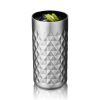 Paragon Stainless Steel Highball Tumbler in Platinum Viski®