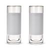 Glass FREEZE™ Highball Glass (set of two) in Gray by HOST®