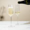 Seneca Crystal Champagne Flutes Viski®