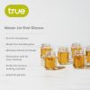 Mason Jar Shot Glass Set of 6 by True
