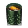 Paragon Stainless Steel Rocks Tumbler in Green Viski®