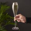 Crystal Gold-Rimmed Champagne Flutes Viski®