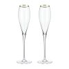 Crystal Gold-Rimmed Champagne Flutes Viski®