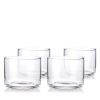 Raye Crystal Negroni Glasses Viski®