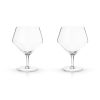 Angled Crystal Gin & Tonic Glasses by Viski®