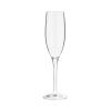 Hardy™: Acrylic Champagne Glass