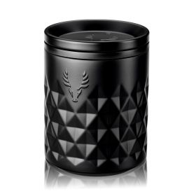 Paragon Stainless Steel Rocks Tumbler in Obsidian Viski®